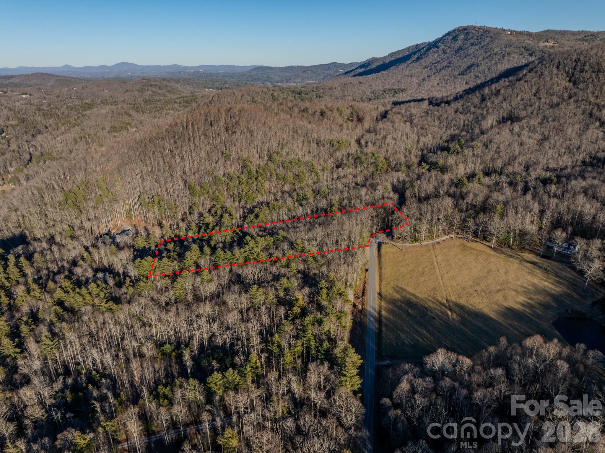 0 Old CCC Road, Unit 3 Hendersonville, NC 28739 - Photo 36 of 43 a view of a forest