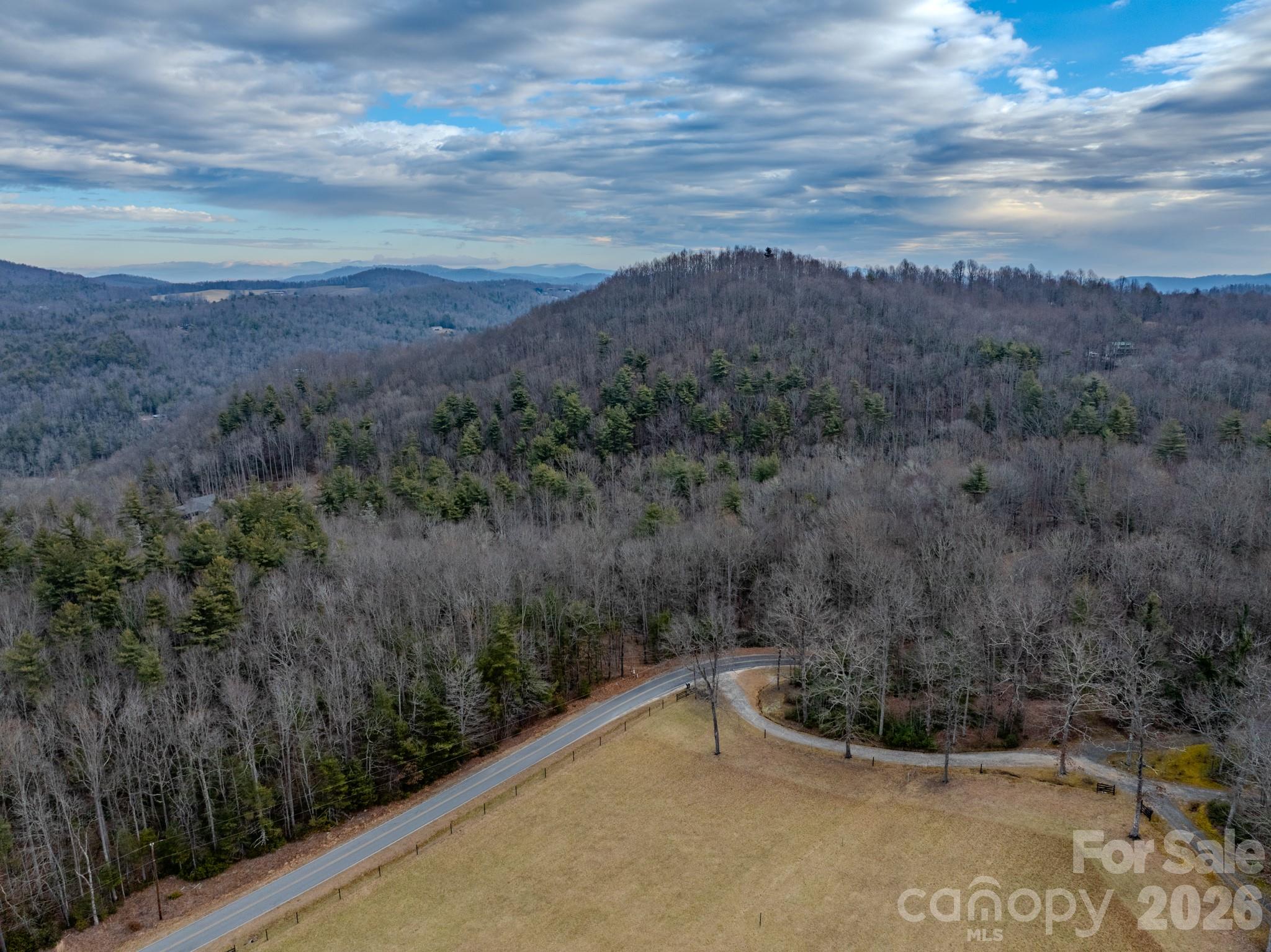 0 Old CCC Road, Unit 3 Hendersonville, NC 28739 - Photo 38 of 43 a view of a field with a mountain in the background