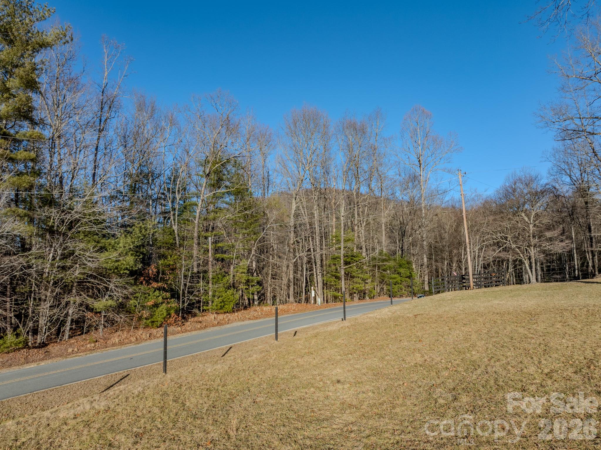 0 Old CCC Road, Unit 3 Hendersonville, NC 28739 - Photo 4 of 43 a view of a yard with trees