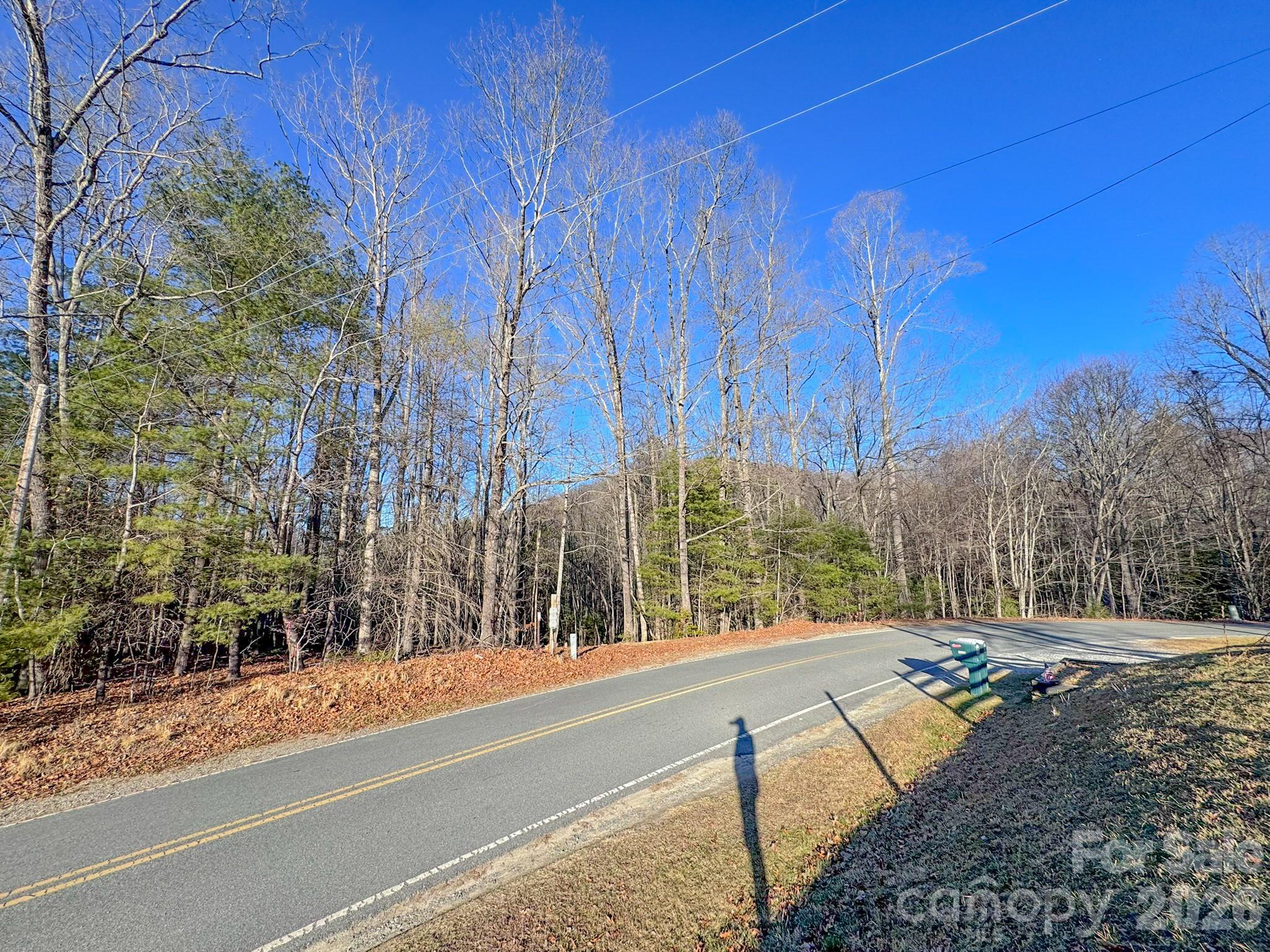 0 Old CCC Road, Unit 3 Hendersonville, NC 28739 - Photo 5 of 43 a view of a yard with plants and trees