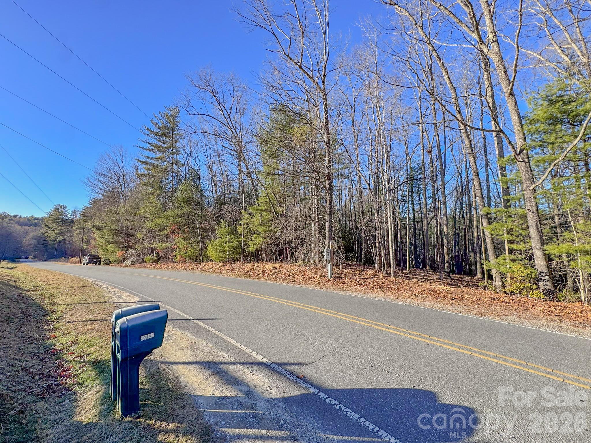 0 Old CCC Road, Unit 3 Hendersonville, NC 28739 - Photo 6 of 43 a street view with large trees
