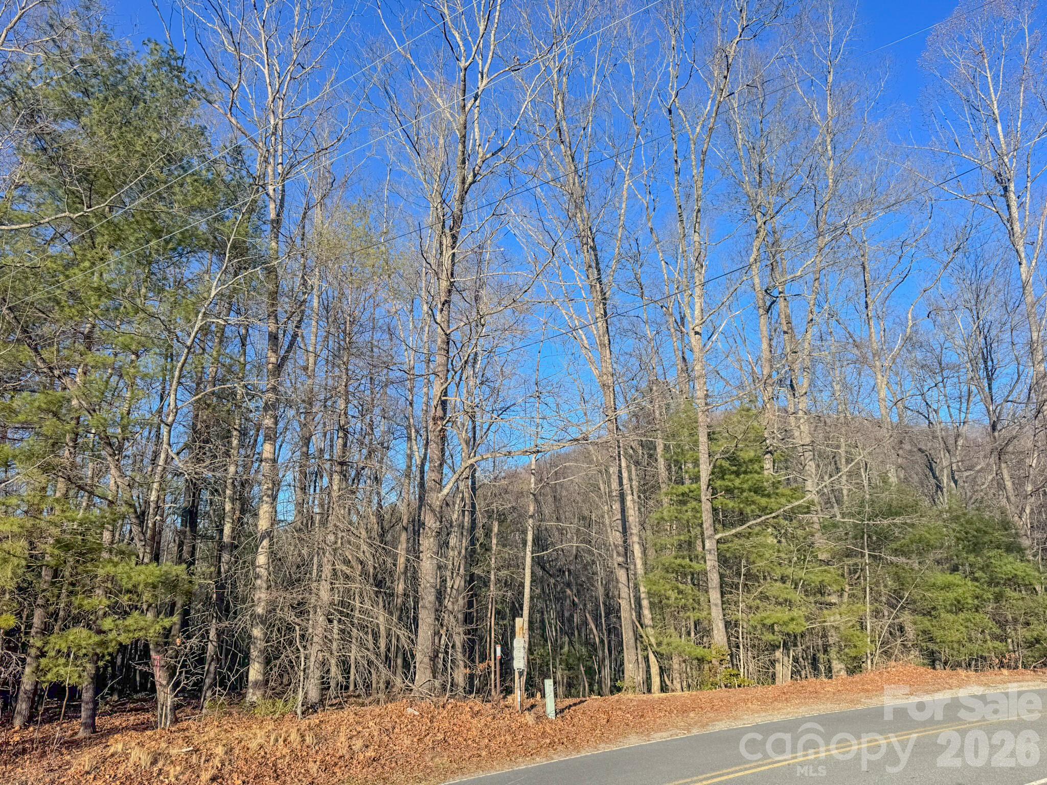 0 Old CCC Road, Unit 3 Hendersonville, NC 28739 - Photo 7 of 43