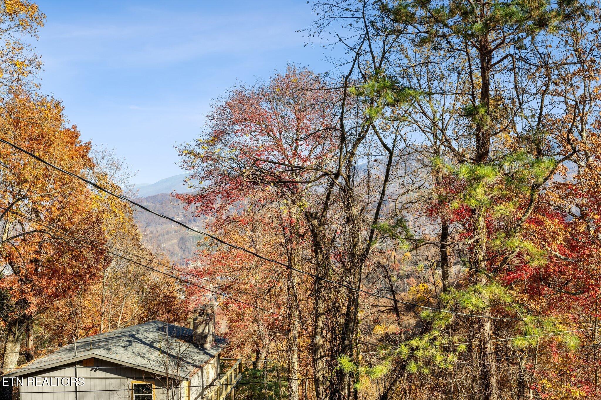 1536 Zurich Road Gatlinburg, TN 37738 - Photo 2 of 26 IMG_0291 2