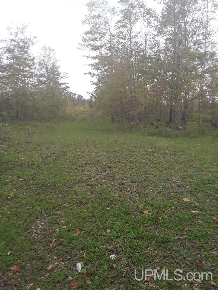 4020 W Letson Road Gulliver, MI 49840 - Photo 1 of 23