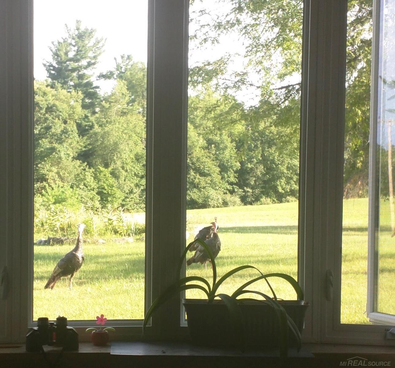 1385 North Blacks Corners Road Imlay City, MI 48444 - Photo 59 of 65 50211655-3e97a04a-4015-4472-8214-921a08e195af.JPG