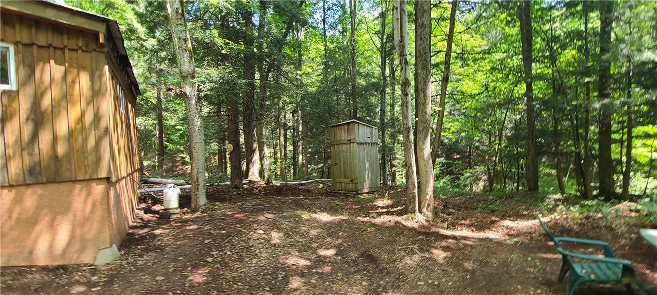 2446 Red Fox Road Portville, NY 14770 - Photo 7 of 41 side of house