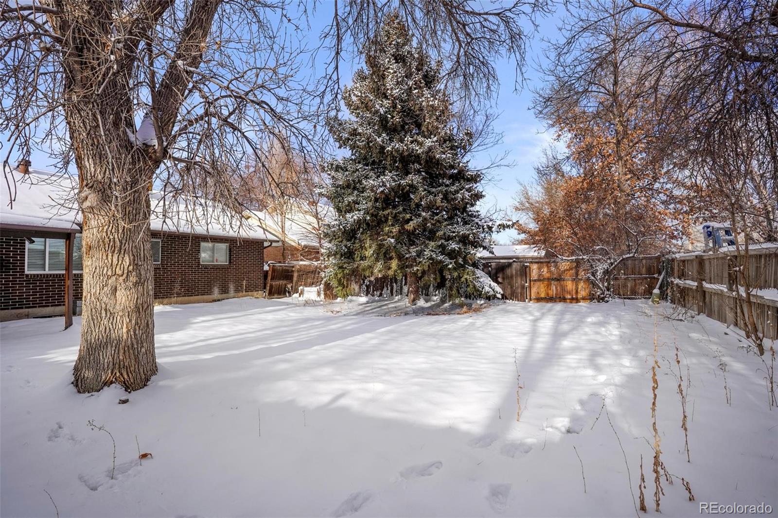 5522 Carson Street Denver, CO 80239 - Photo 36 of 40 a road view with large trees