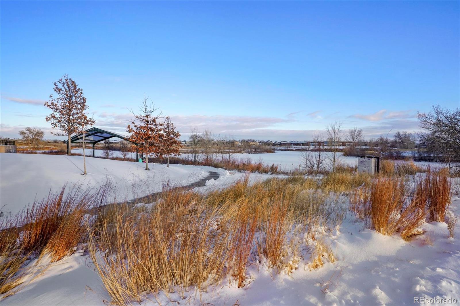 5522 Carson Street Denver, CO 80239 - Photo 38 of 40 a view of a lake with houses in the back