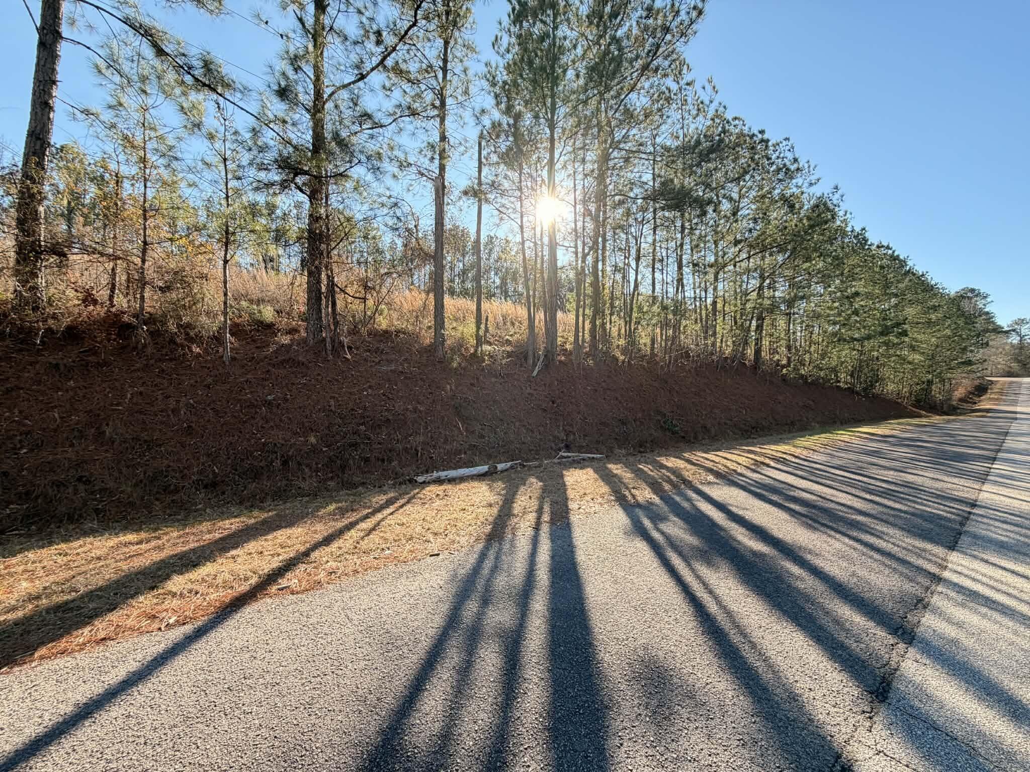 0 Red Fox Drive Clarks Hill, SC 29821 - Photo 5 of 7 Right