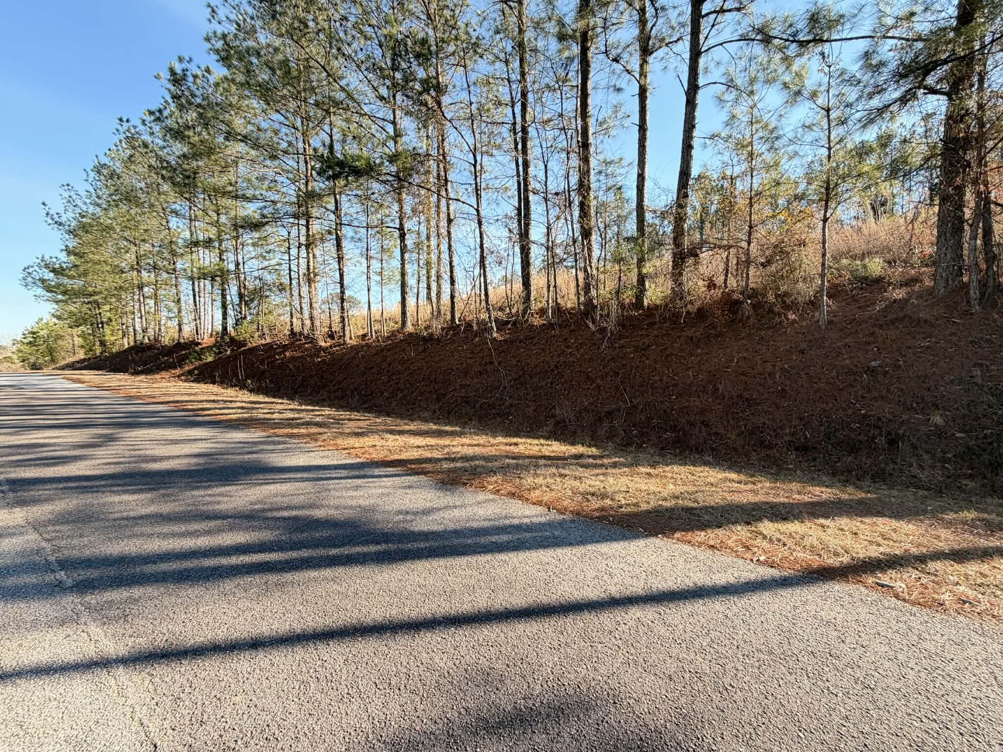 0 Red Fox Drive Clarks Hill, SC 29821 - Photo 6 of 7 Left