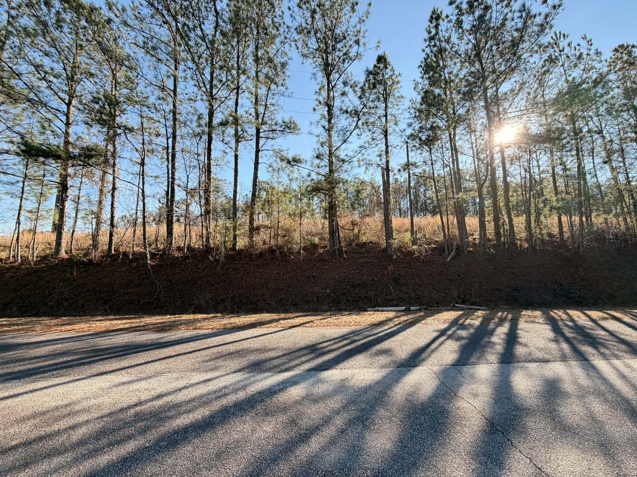 0 Red Fox Drive Clarks Hill, SC 29821 - Photo 7 of 7 Front