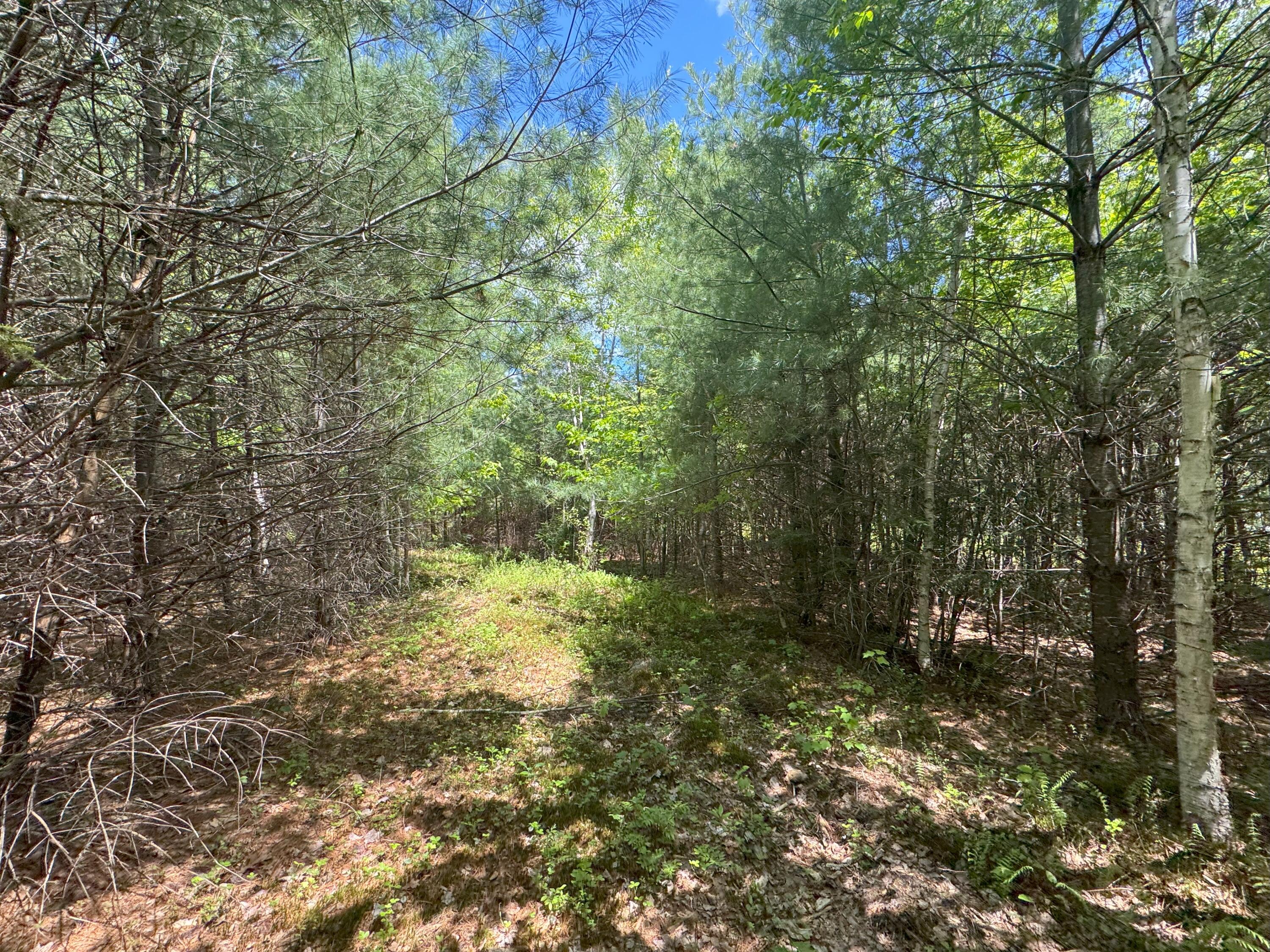 58-1 North Road Leeds, ME 04263 - Photo 5 of 14 North Road Leeds 6