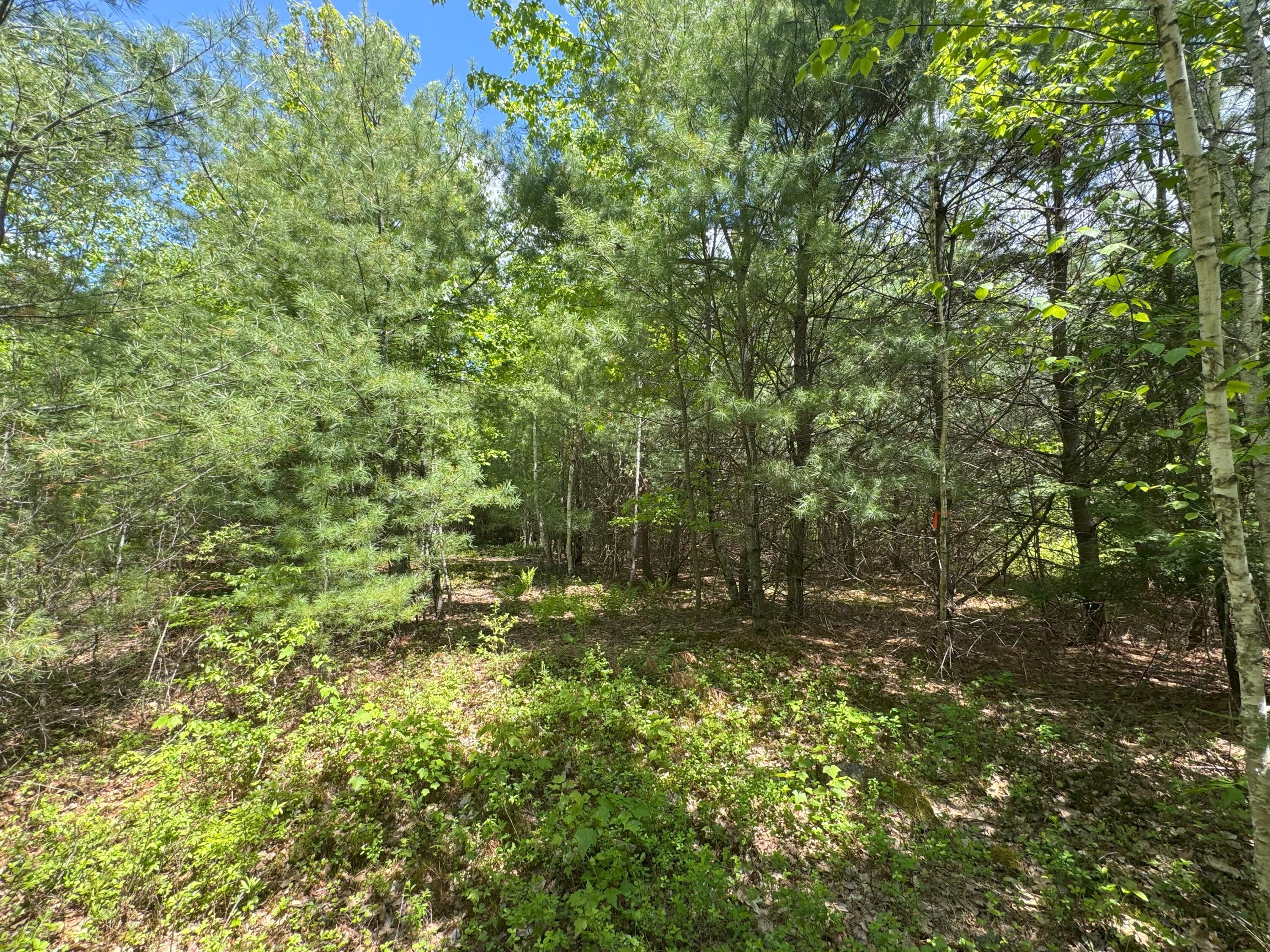 58-1 North Road Leeds, ME 04263 - Photo 6 of 14 North Road Leeds 7