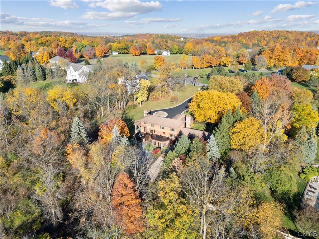 5135 Peck Hill Road De Witt, NY 13078 - Photo 48 of 50