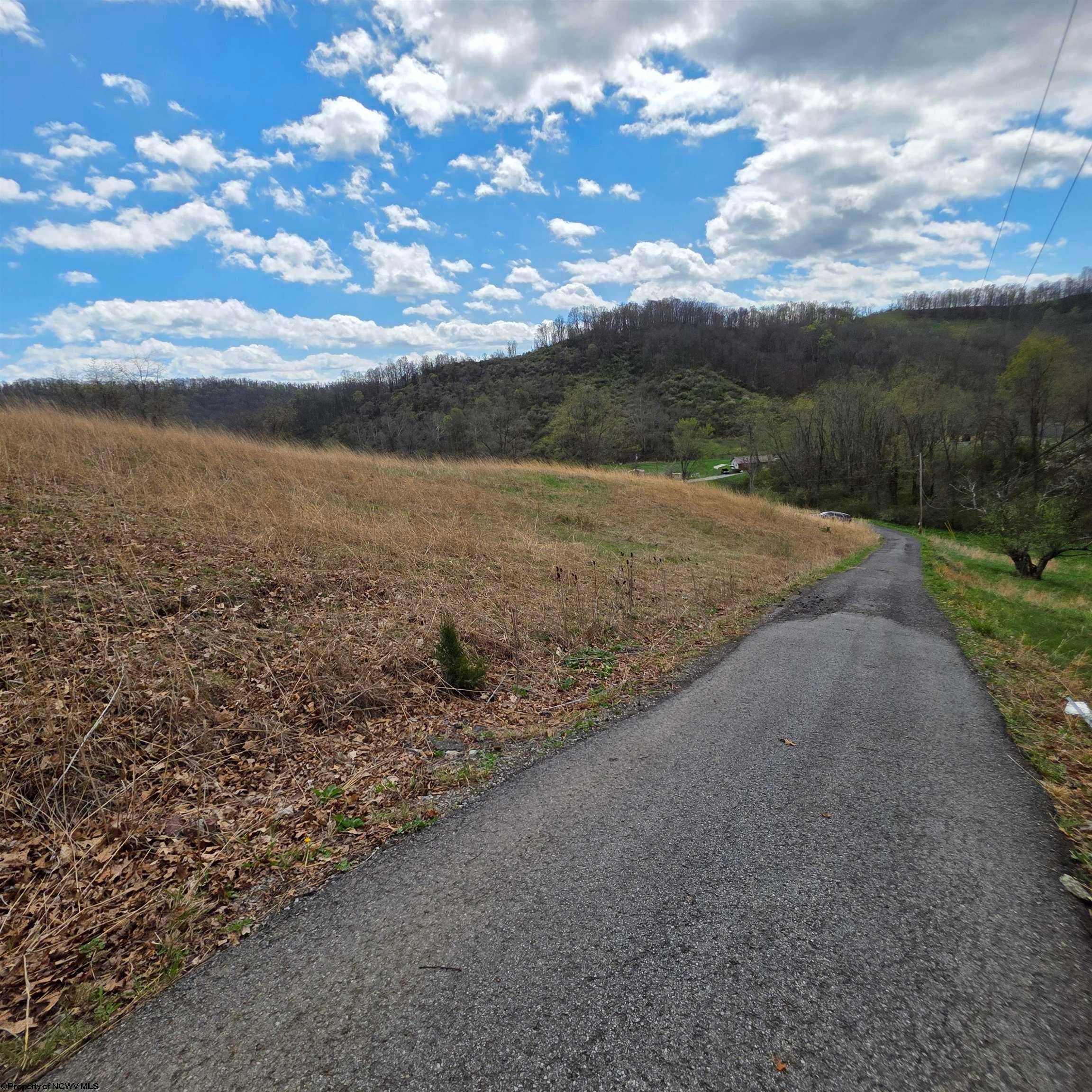 Tbd Simpson Run Road Weston, WV 26452 - Photo 3 of 19 Gallery Image 3