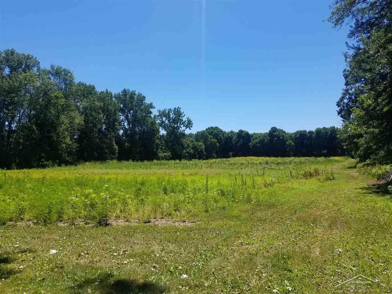 8550 West Tuscola Road Frankenmuth, MI 48734 - Photo 34 of 69
