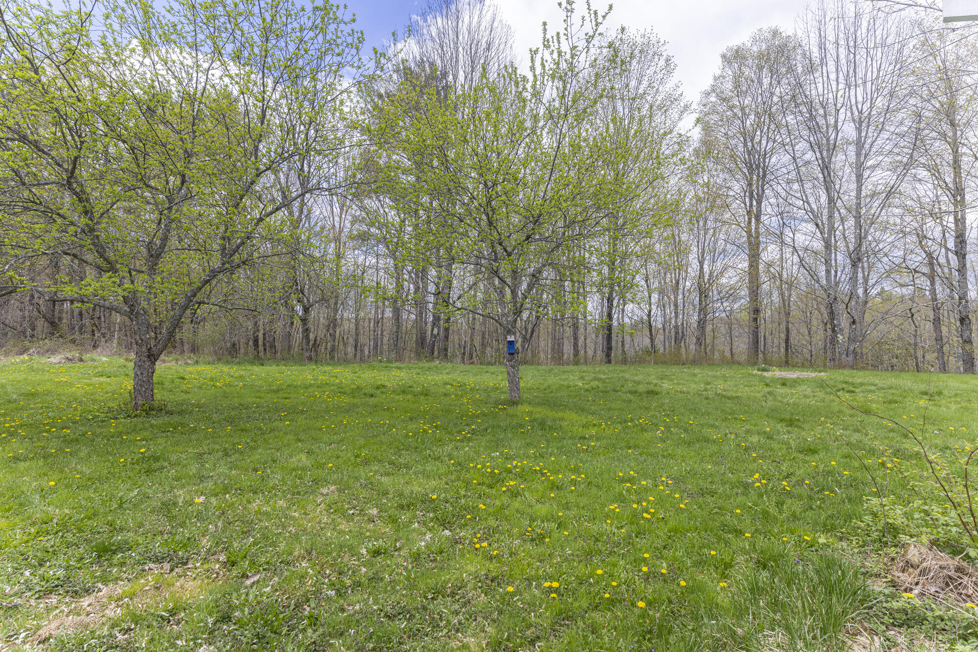 38 Field Road Cumberland, ME 04021 - Photo 43 of 46