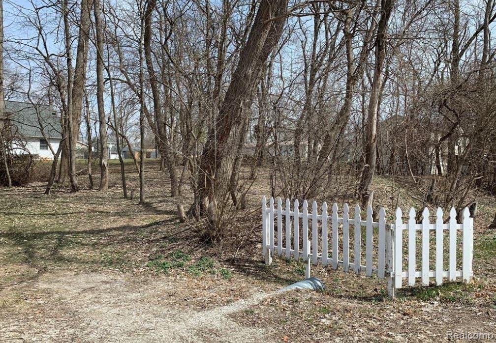 0 Cooley Lake Road Pontiac, MI 48341 - Photo 4 of 5