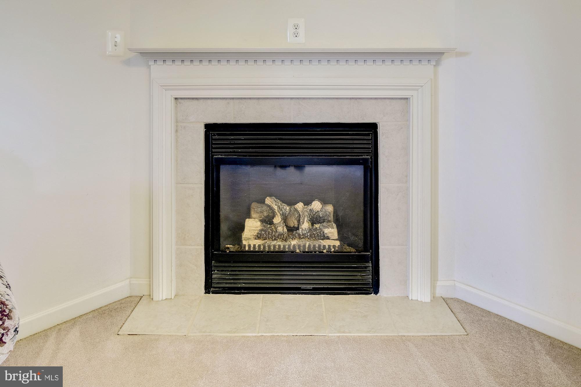1631 Green Mill Road Finksburg, MD 21048 - Photo 9 of 35 Living Room | Fireplace
