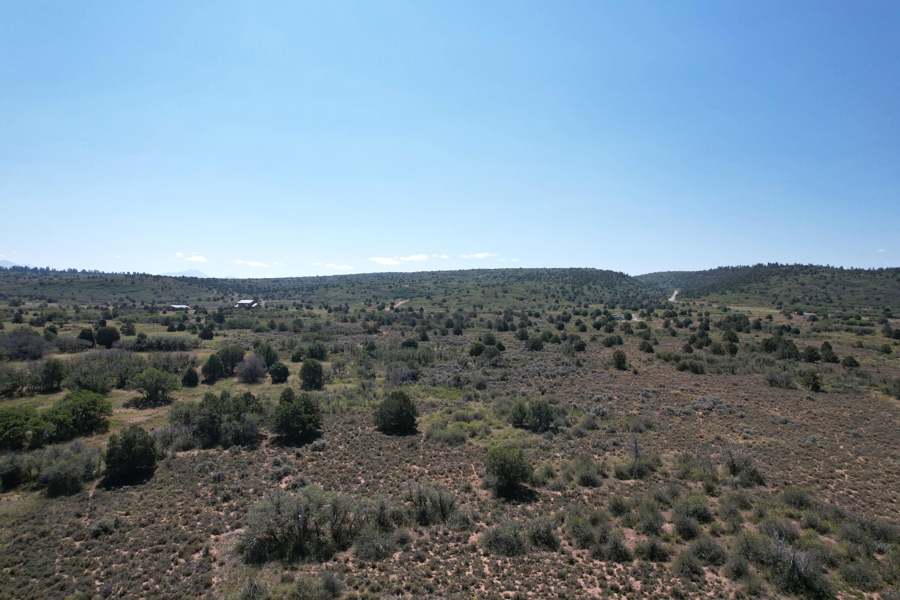 19 County Road Norwood, CO 81423 - Photo 2 of 2 a view of a dry field
