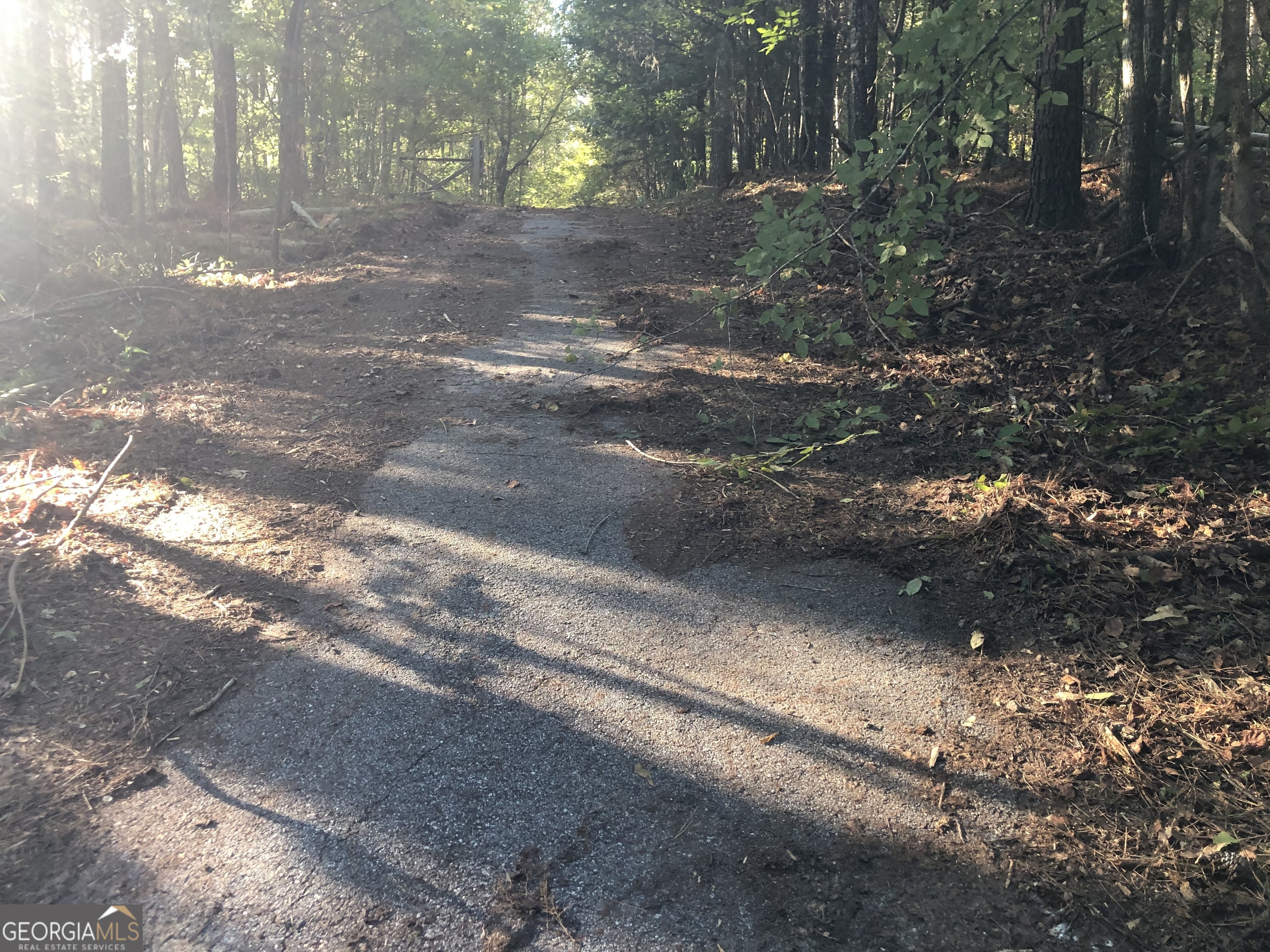 Lot 10 Triune Mill Road Thomaston, GA 30286 - Photo 17 of 30