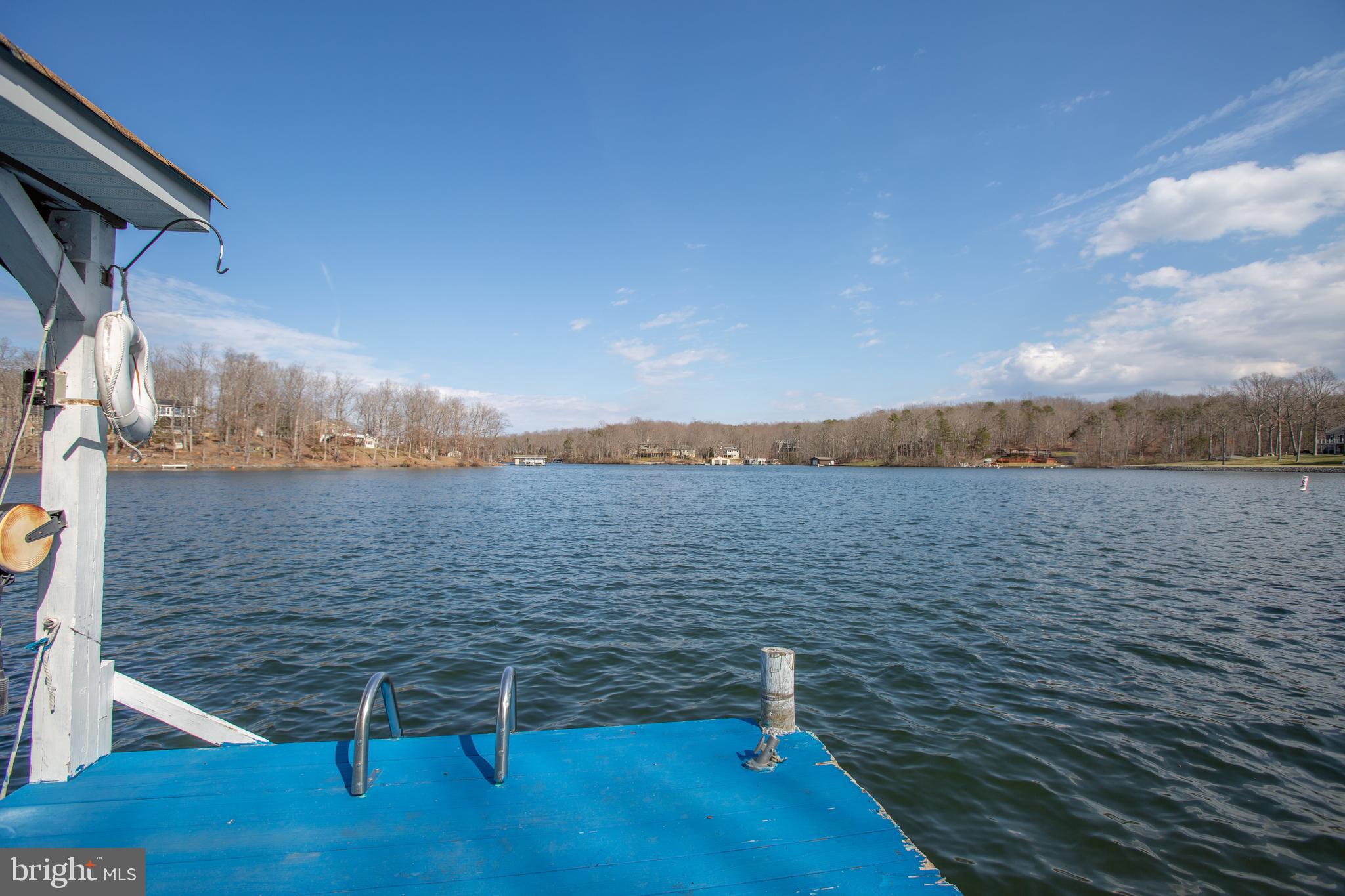 501 Douglas Road Mineral, VA 23117 - Photo 112 of 114 View Dock and Lake