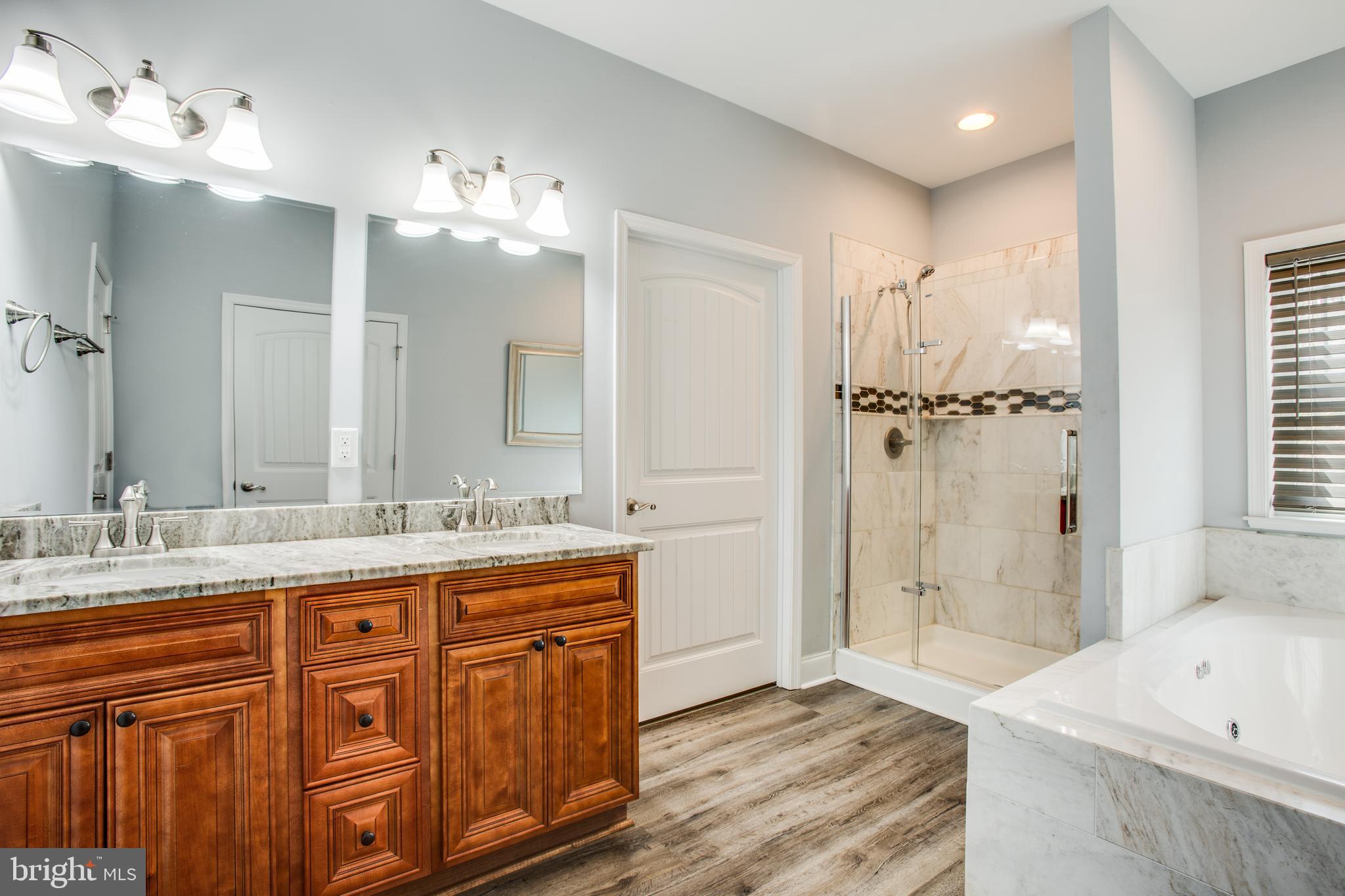 501 Douglas Road Mineral, VA 23117 - Photo 57 of 114 Owners Bath