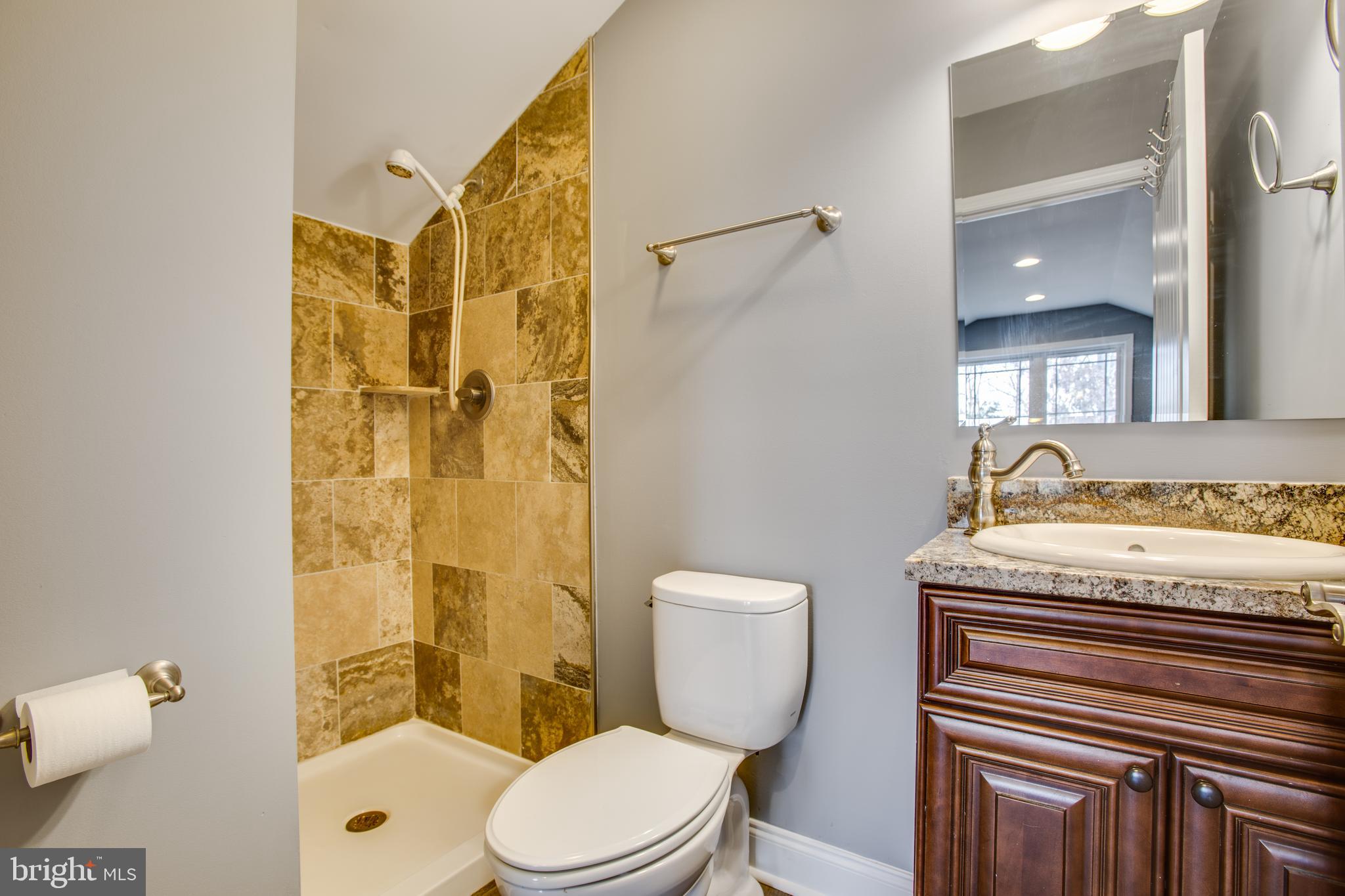 501 Douglas Road Mineral, VA 23117 - Photo 77 of 114 Full Bath in Bonus Room