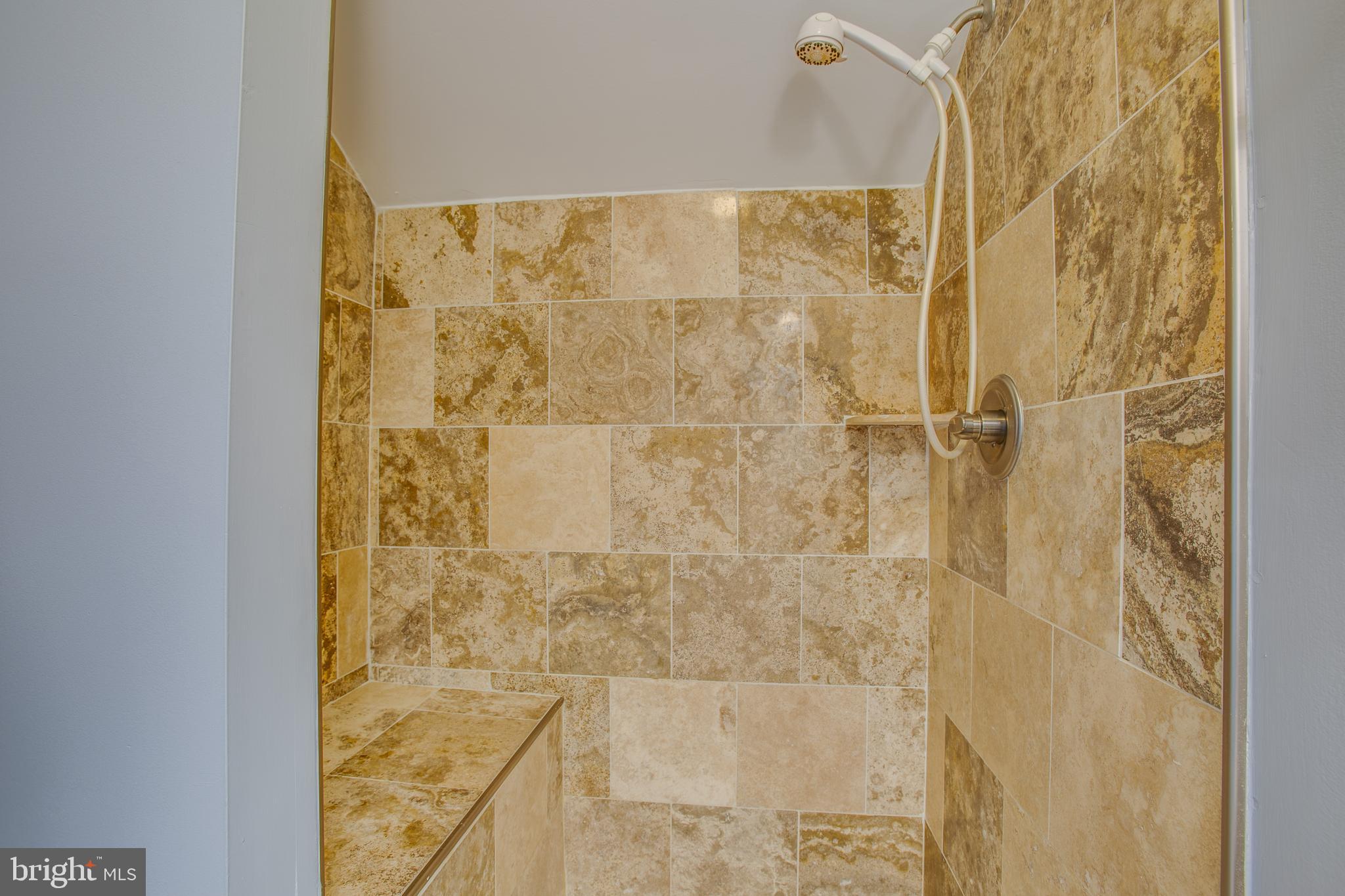 501 Douglas Road Mineral, VA 23117 - Photo 78 of 114 Shower in Bonus Room