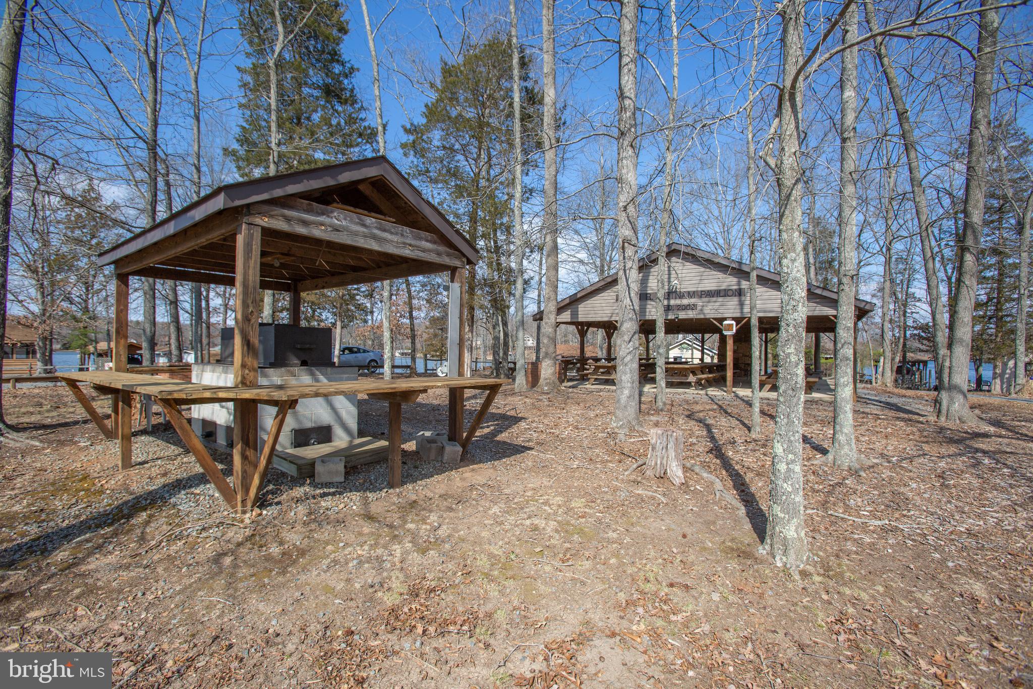 501 Douglas Road Mineral, VA 23117 - Photo 92 of 114 Community Picnic Area