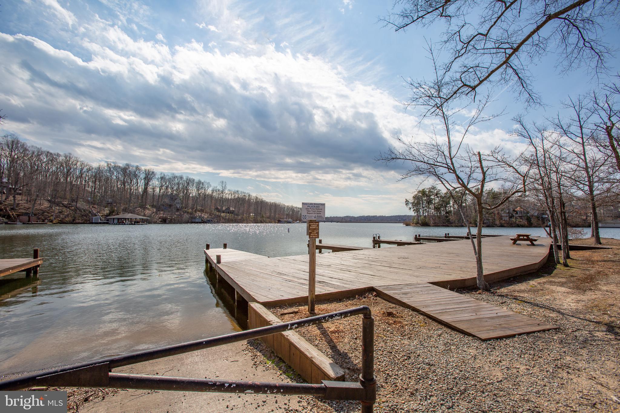 501 Douglas Road Mineral, VA 23117 - Photo 96 of 114 Community Boat Ramp