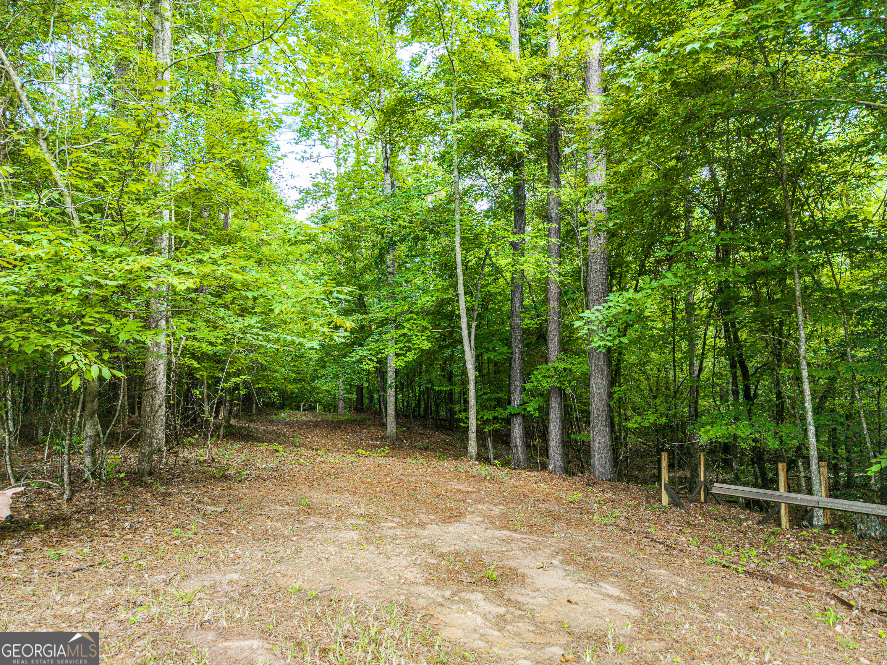 224 Covey Road Southwest Milledgeville, GA 31061 - Photo 7 of 60 Gallery Image 7