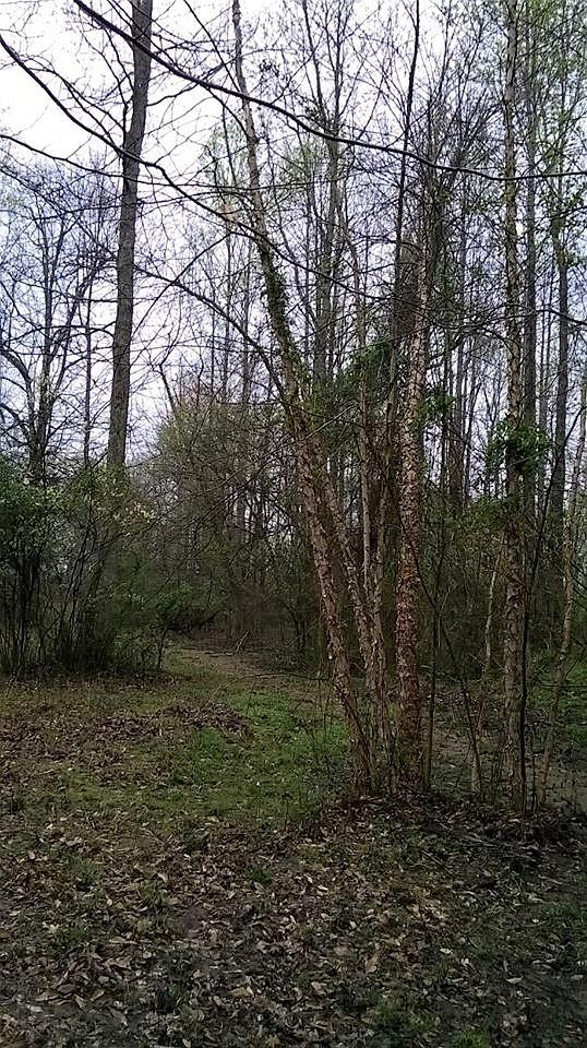 0 Thach Road Athens, AL 35613 - Photo 11 of 18