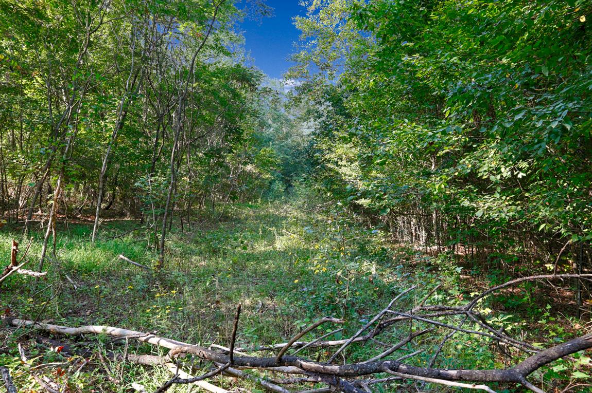 0 Thach Road Athens, AL 35613 - Photo 12 of 18