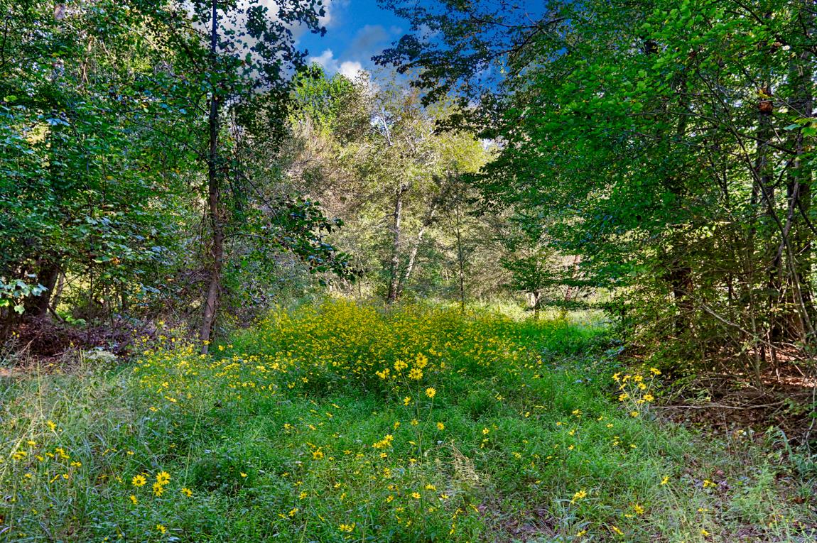 0 Thach Road Athens, AL 35613 - Photo 14 of 18