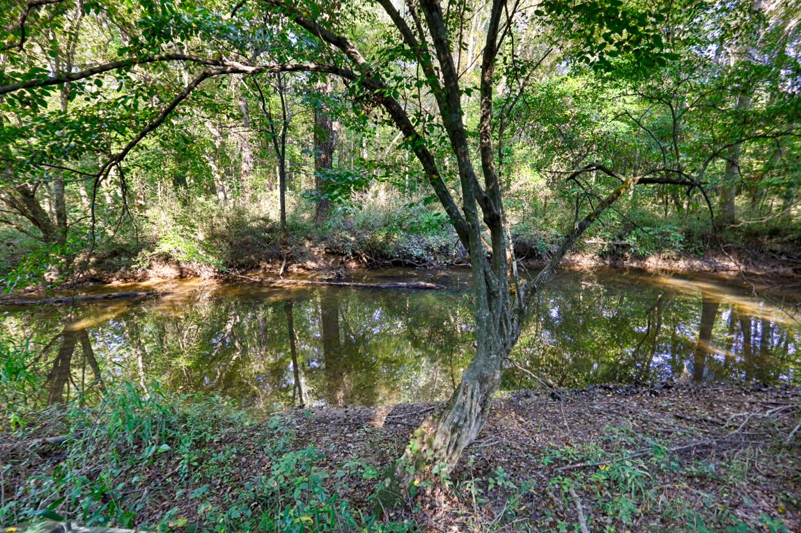 0 Thach Road Athens, AL 35613 - Photo 16 of 18