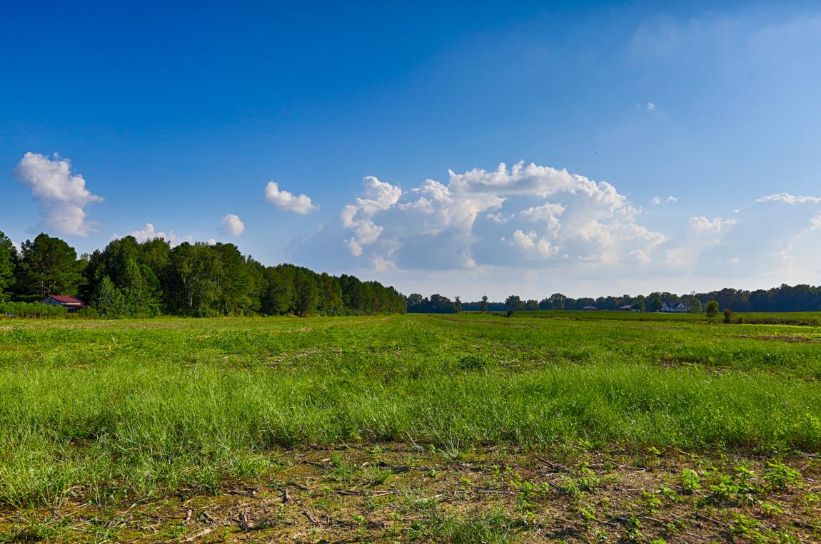 0 Thach Road Athens, AL 35613 - Photo 5 of 18
