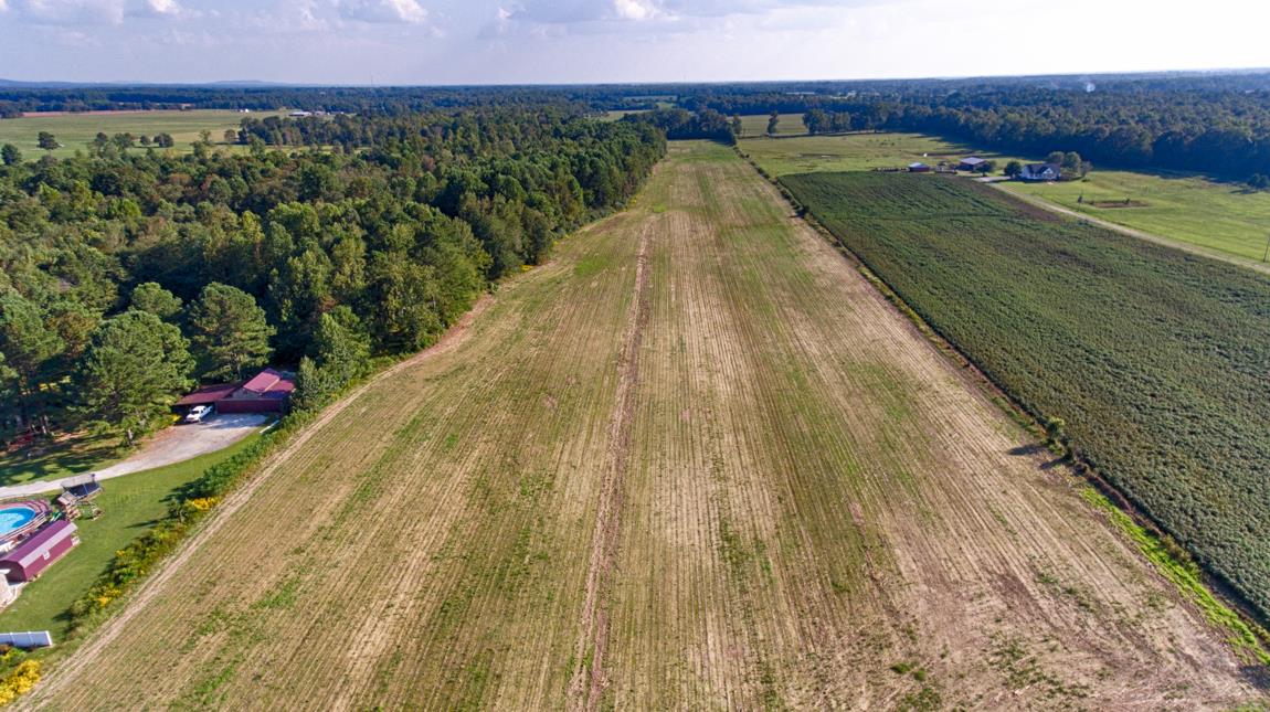 0 Thach Road Athens, AL 35613 - Photo 6 of 18