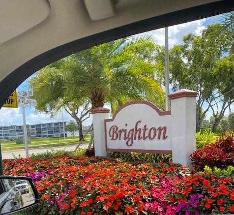59 brighton 1