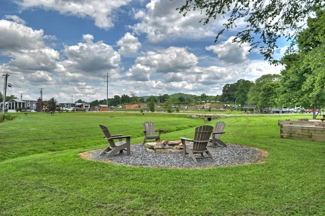 a view of a park with large trees