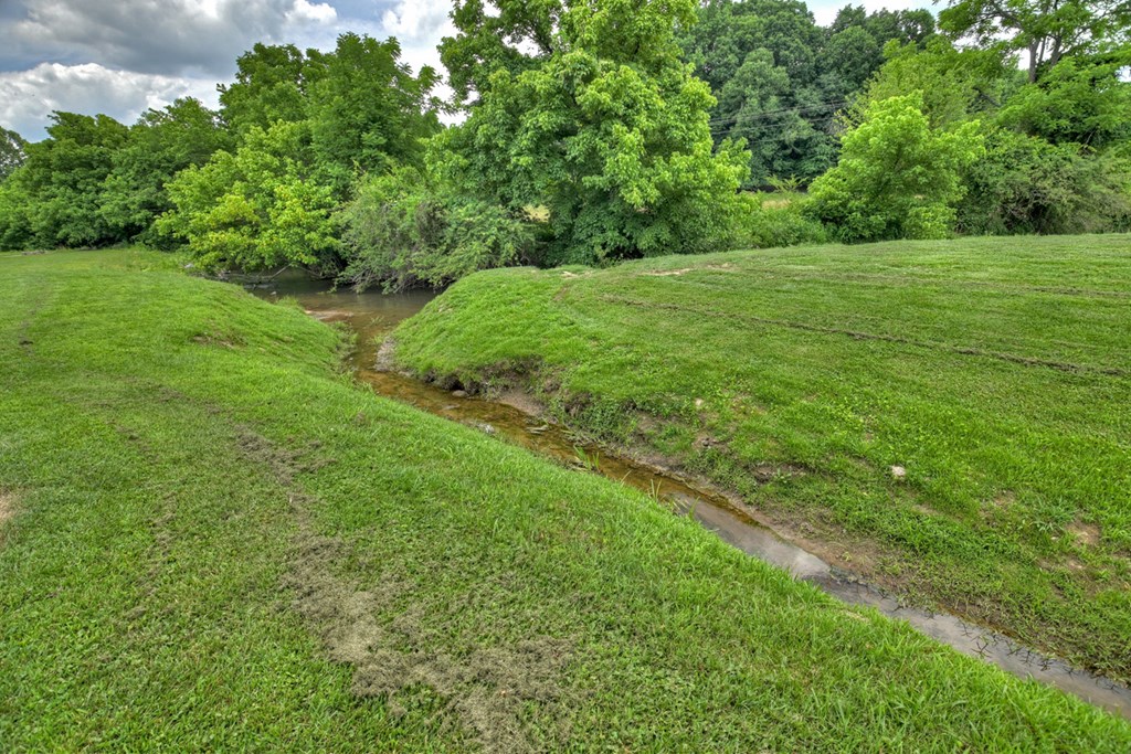 35 Mountain Meadows Circle Morganton, GA 30560 - Photo 7 of 41 a view of field with trees in the background