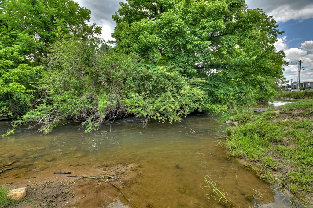 35 Mountain Meadows Circle Morganton, GA 30560 - Photo 10 of 41 a view of a lake with a house