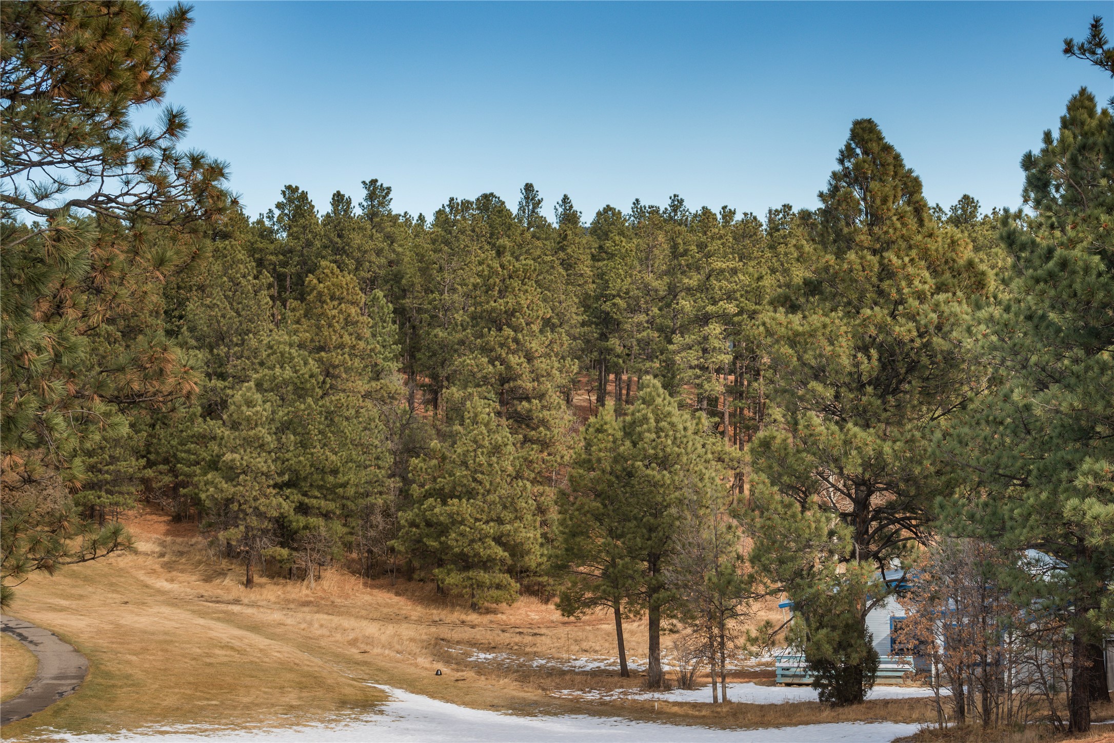 Lot 9 Corte Molina Rociada, NM 87742 - Photo 4 of 6