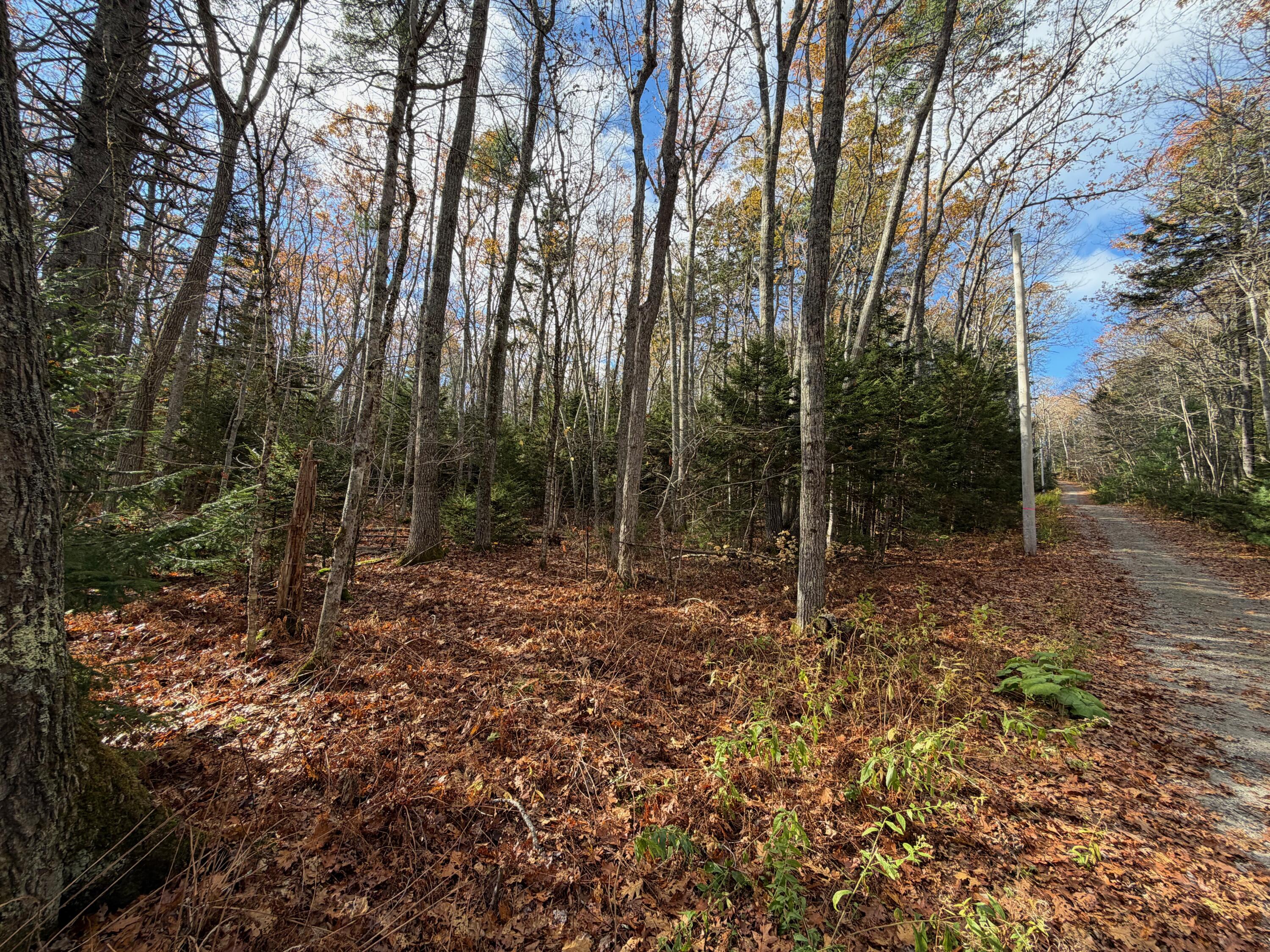 0 Lockhart Cv Road Pemaquid, ME 04558 - Photo 3 of 7