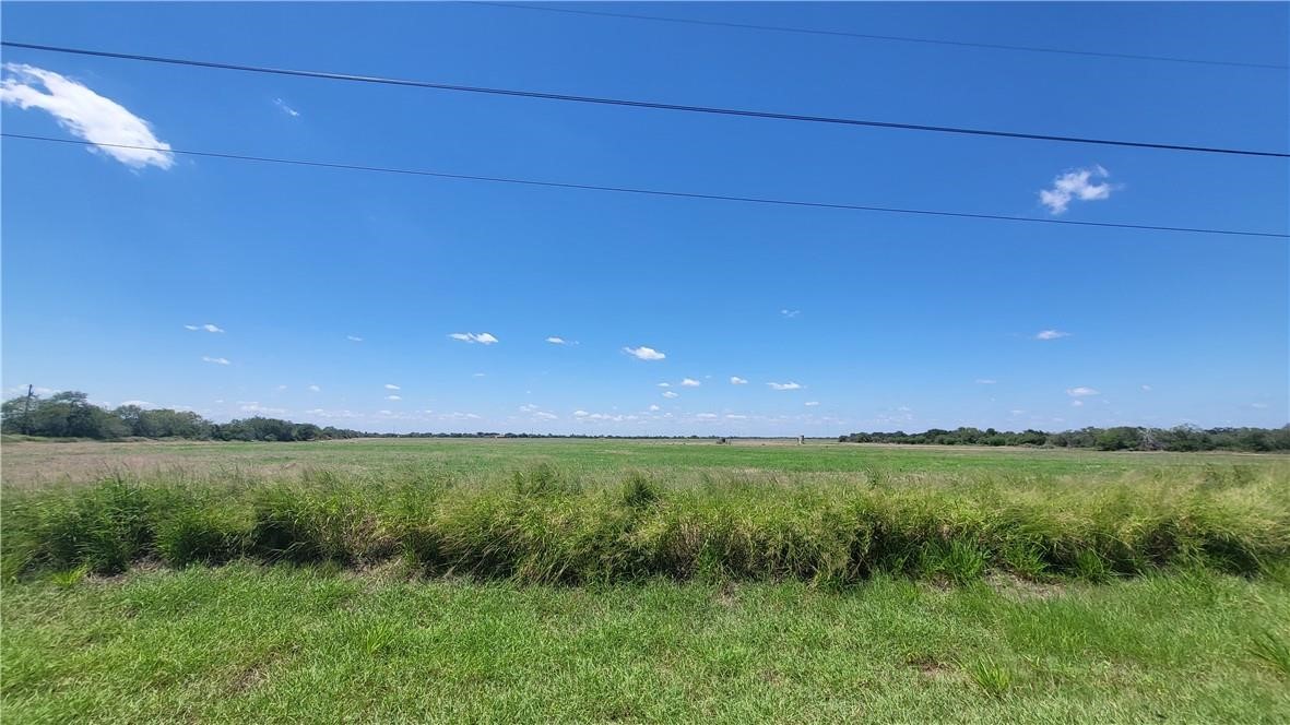 0 Us-281 Falfurrias, TX 78355 - Photo 10 of 10 a view of a lush green space