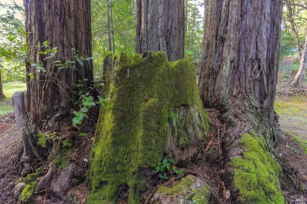 $729,000 | 46800 Ocean View Drive, Gualala, CA 95445