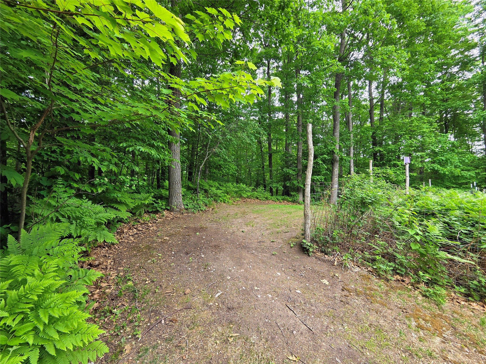 1388 West Town Hall Road Springbrook, WI 54875 - Photo 52 of 58