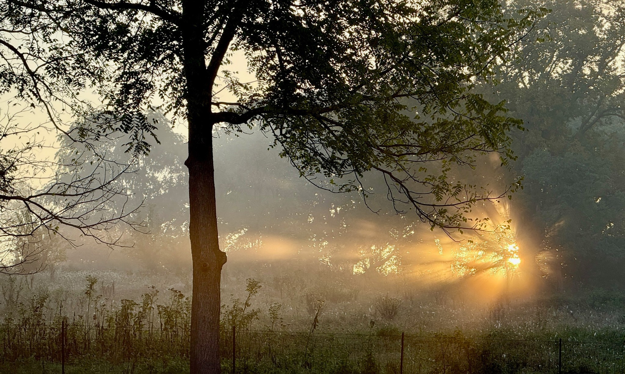 1916 Springcroft Drive Franklin, TN 37067 - Photo 90 of 90