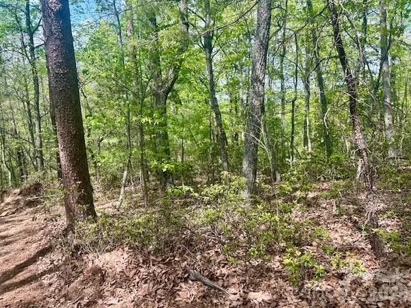$695,000 | Tbd Mountain View Circle, Lenoir, NC 28645