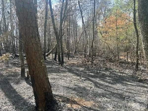 $695,000 | Tbd Mountain View Circle, Lenoir, NC 28645